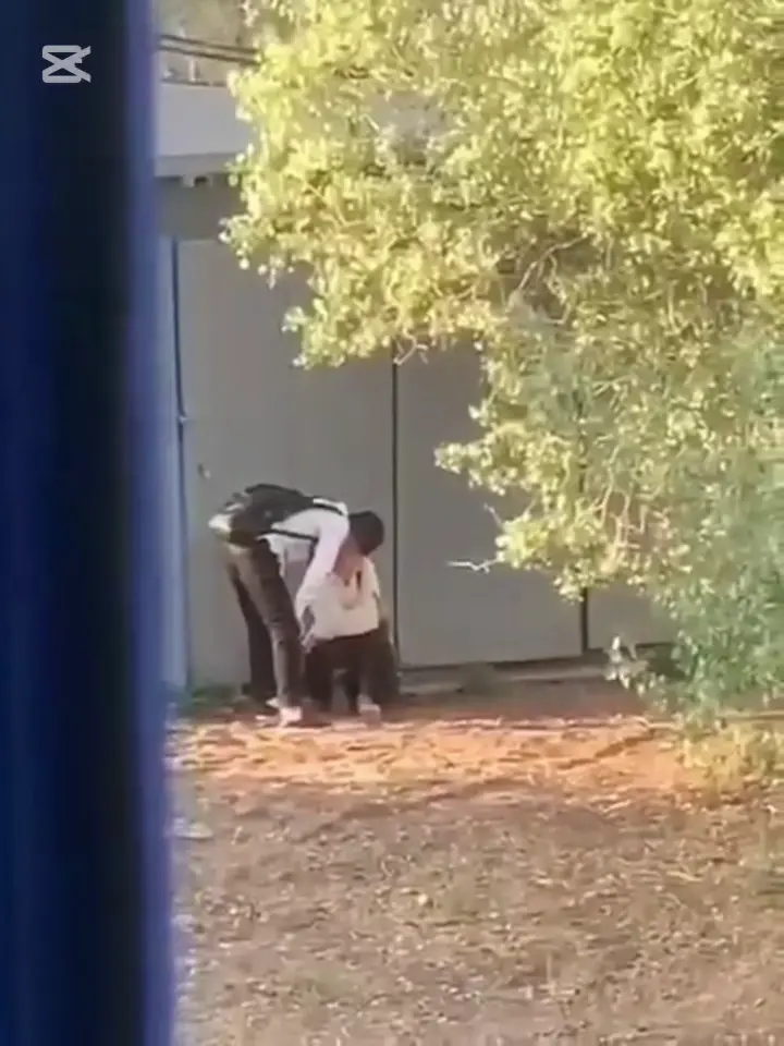 MAKTAB UQUVCHISI ZAPAL YANGI 2025